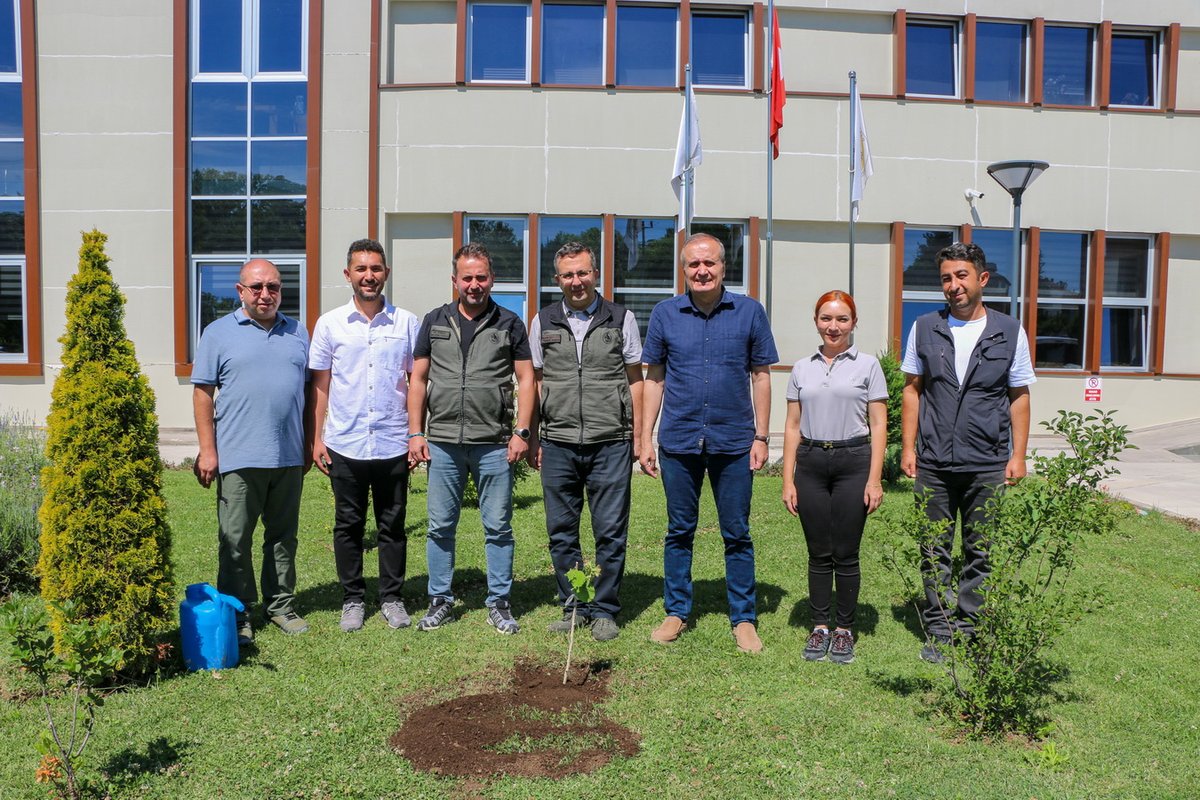 boluobm's tweet photo. Bolu Orman Fidanlığından geleceğe değer katacak çalışma, Bolu fındığına aşılı ziraat fındığı üretimi. 

https://t.co/baafKryAWN https://t.co/l58YcvSLgO