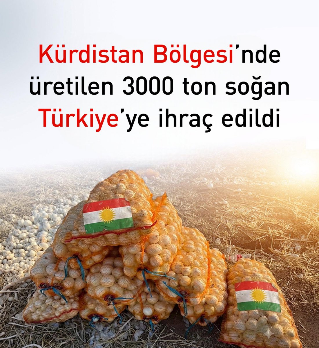Cekdarghd's tweet photo. TÜRKİYE'DE KÜRDİSTAN DİYE BÖLGE YOK DİYENLER SOĞAN ALMAYA BAŞLADI 

Kürdistan Bölgesi’nden Türkiye’ye kuru soğan ihracatı başladı https://t.co/uBqs9ZVYxq