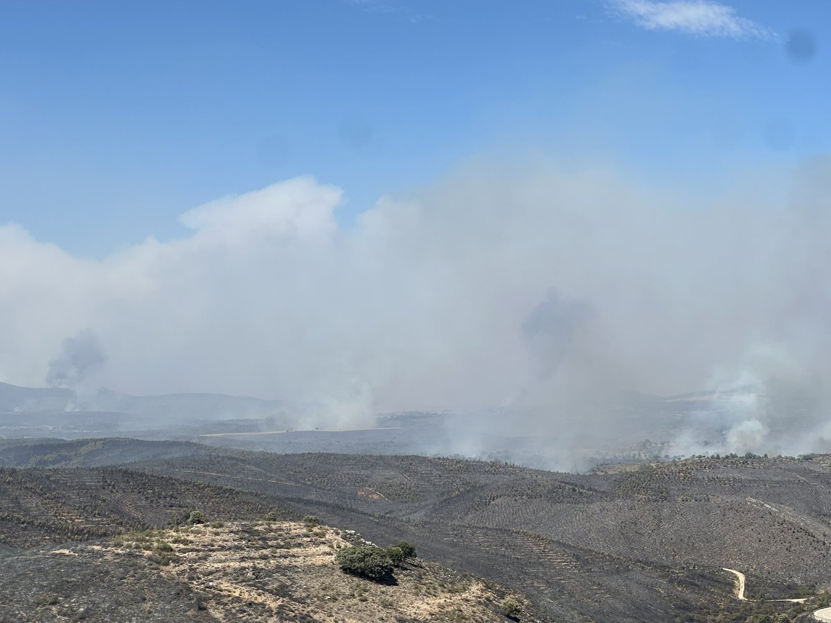 OscarBForestal's tweet photo. #IFLaMierla | Guadalajara 

El incendio sigue cogiendo fuerza… Esto es un jodido desastre.

🕢16:28h desde el Embalse de Alcorlo. https://t.co/3Wt5yf18Bs