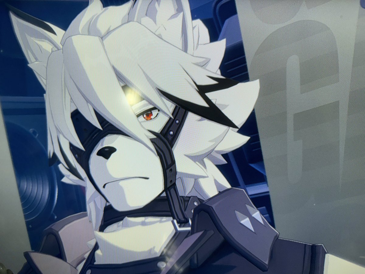 Akito_Sugar's tweet photo. これは今度うちに🦇が来てくれるのを察知してやってきた🐺 https://t.co/nx6b9gtptU