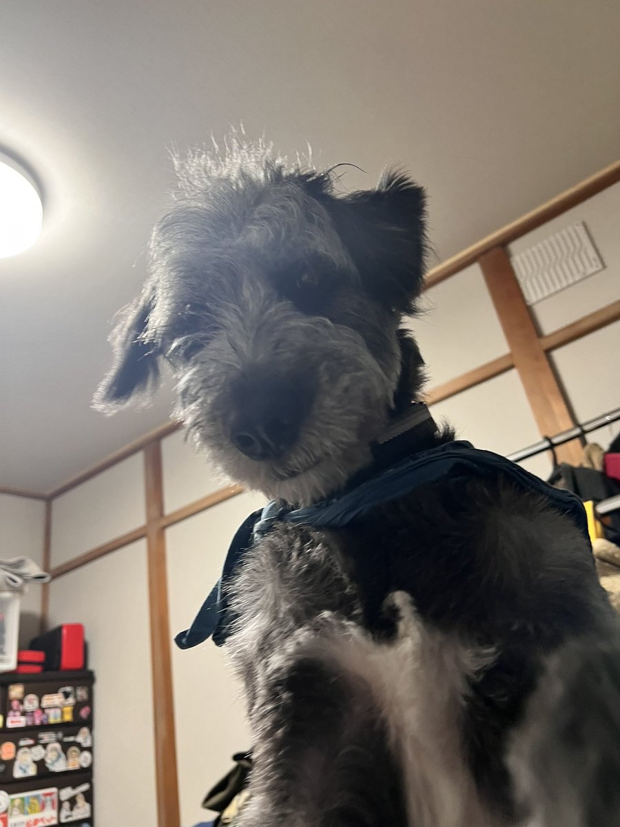_MotoMucci's tweet photo. 目覚めたらこれ https://t.co/69y99Wj2ST