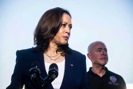 politvidchannel's tweet photo. BREAKING: Election expert thinks Harris was the Real winner of the 2024 Election and Trump won due to massive fraud https://t.co/WRc4iDprmR
