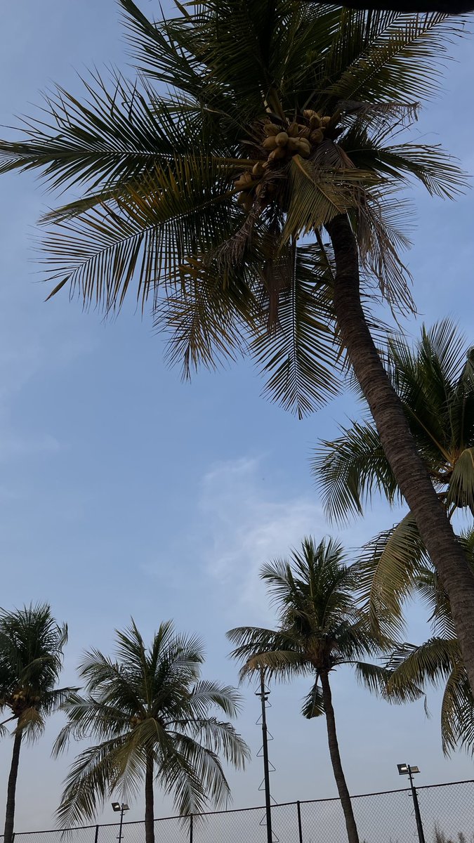 ssqrt27's tweet photo. 🌞 https://t.co/NMyTLkjTWh