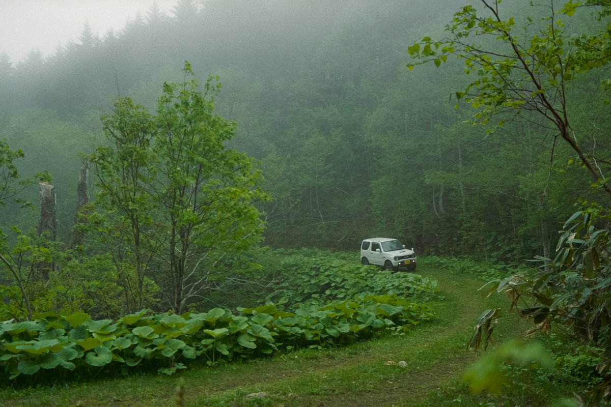 1090Photo's tweet photo. #pentaxlx
#pentax_fa43limited
#kodak #kodacolor200 https://t.co/S2rBtu7Nwq