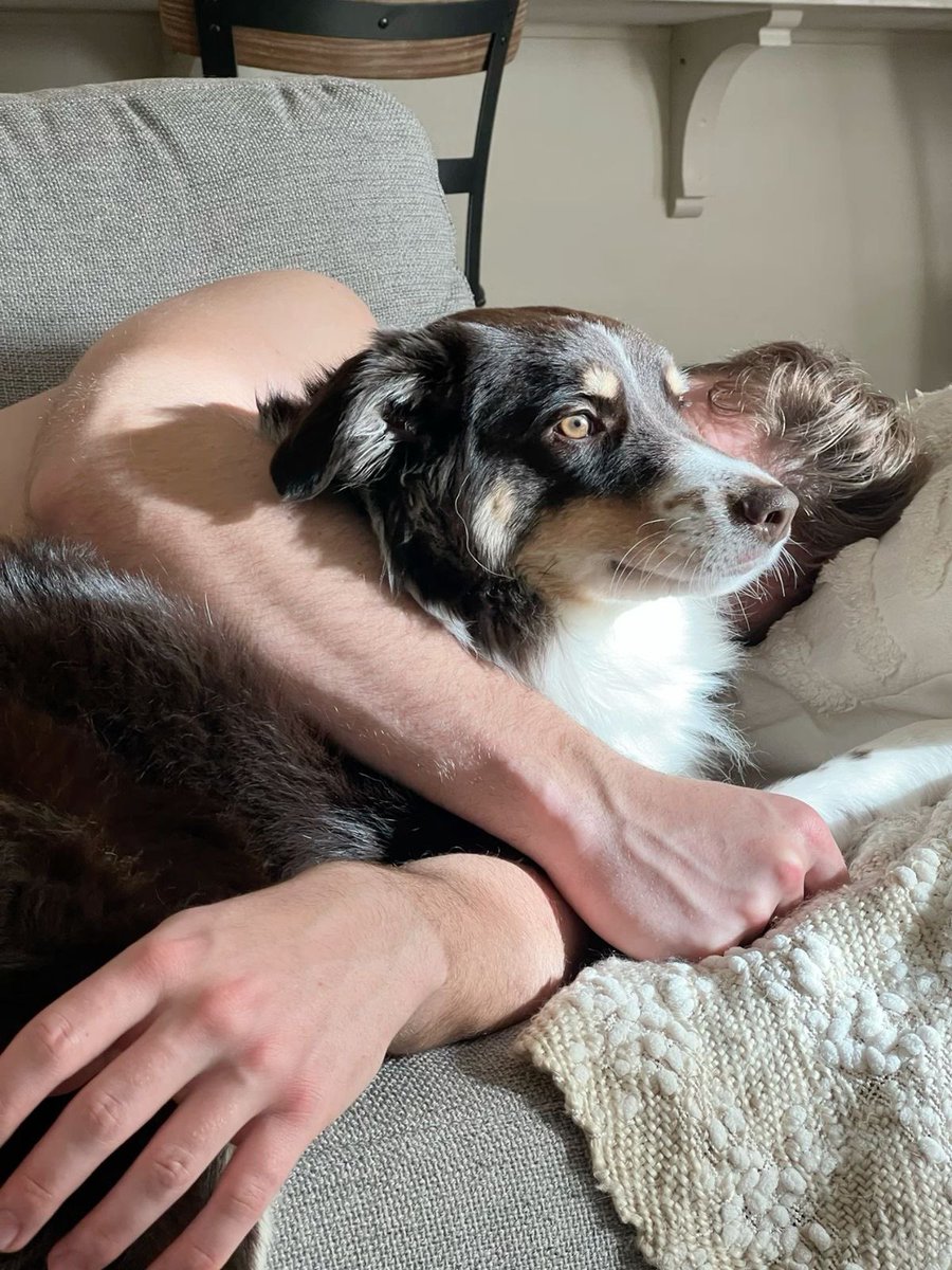 Hollanovised's tweet photo. A pic of Anya with her papa Ilya that Shane took 🥺 https://t.co/ElVjEe2eVf