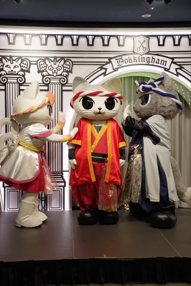 __orya's tweet photo. ナンジャパーティーFestival Version
大人しく太鼓役やってるナジャヴかわいかった〜
そして今日もすごくとってもすてきな足音でございました🐱
 #ナンジャタウン https://t.co/xwKoNQdBxA