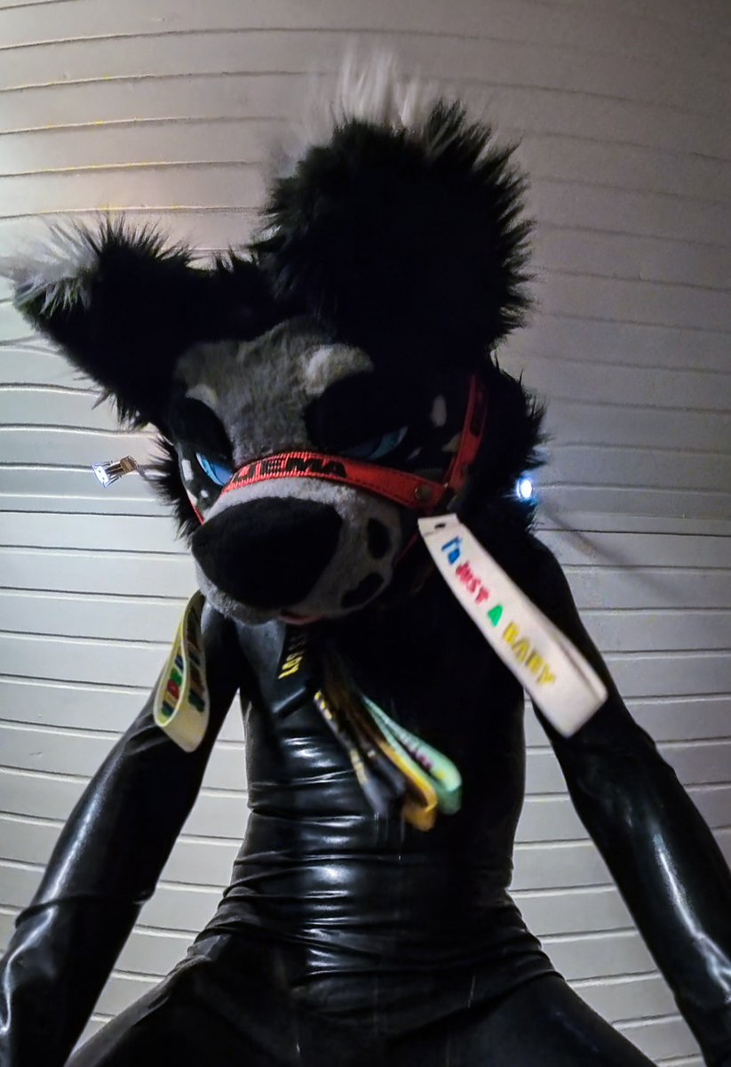 Smol_Static's tweet photo. #Latexfur https://t.co/3tgJeuUAtQ
