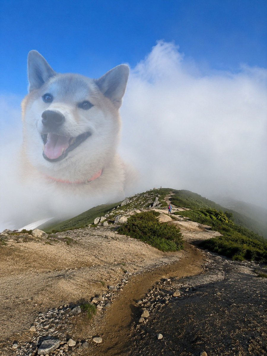 hikingshibaGAKU's tweet photo. 2日間電波のないお山を登ってました⛰️
頭の中ずっとこれ🥺

思い出すと頭から離れなくて「わかった！もう帰るから😂」って何度も唱えてた🤣 https://t.co/HLEkSoibJJ
