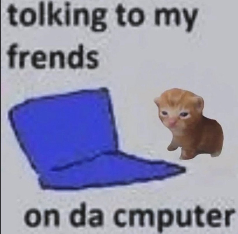Punch Cat tweet media