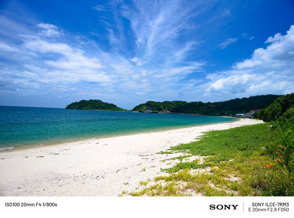 sonic88510's tweet photo. 海へ。

#そにつく写真ろぐ https://t.co/EEkOFdN4yw