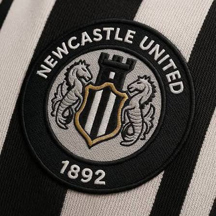 OnlyOneOrmy's tweet photo. @NUFC Am I the only one that actually thinks the circle badge like this would be lovely? https://t.co/QTIqdMQSdb