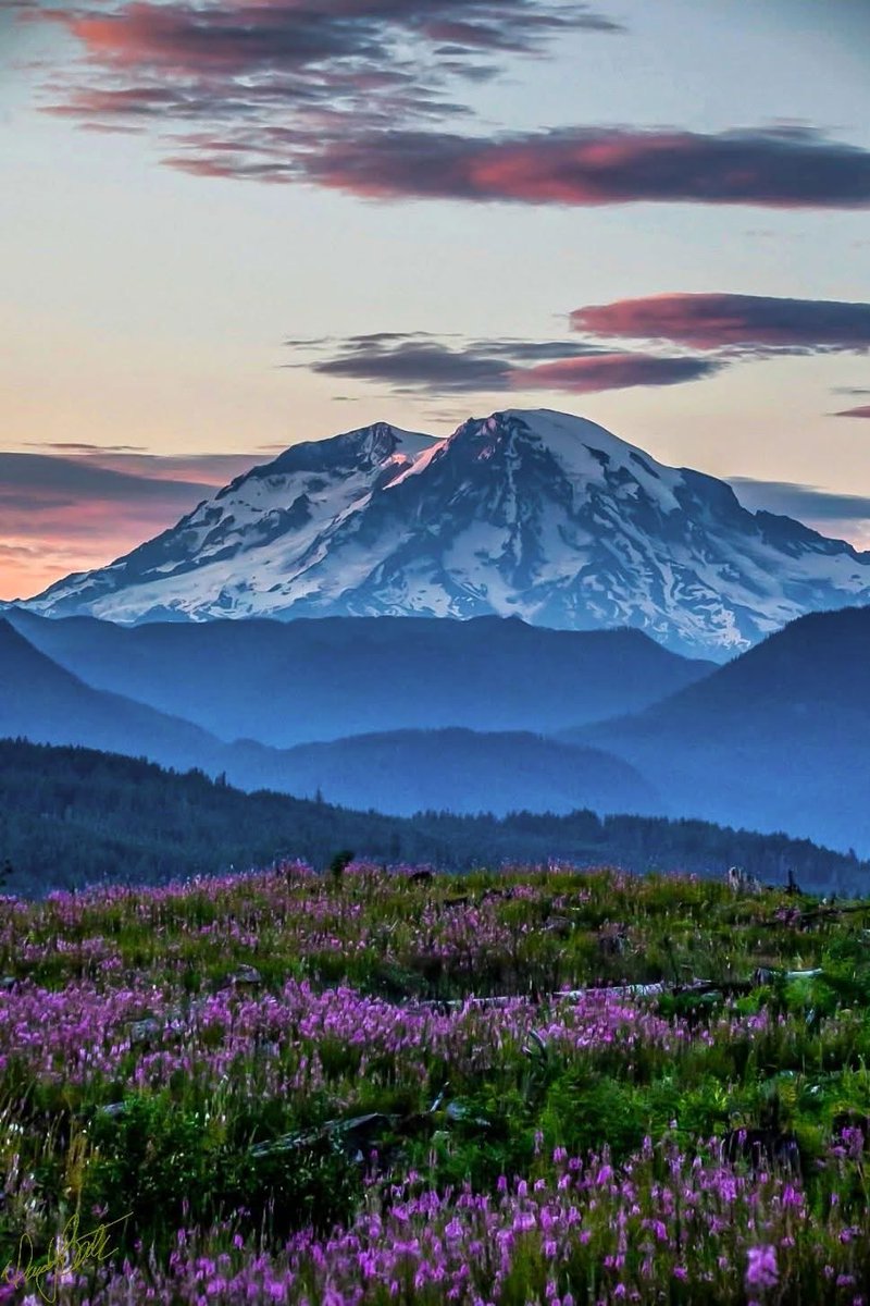 AlvinHelms's tweet photo. One of the many reasons why I love the Pacific Northwest… https://t.co/lWh3C7OvrN