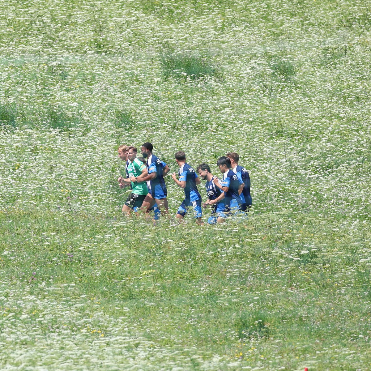 s04's tweet photo. Keine Sorge, die Jungs haben genügend Zeckenschutz dabei 🙃

#S04 | #S04imStubaital https://t.co/LF7SU1WI2s