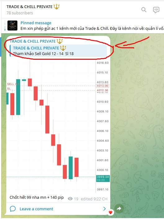 David_Tradingg's tweet photo. Tổng kết buổi tối có 140 pip là ngon lành cành đào rồi
Đừng quên nhóm Private vẫn đang có khuyến mãi 99$ để tham gia số lượng có hạn nha mn
➡️ Ib ngay cho https://t.co/FWa0N2lxaI để đồng hành cùng Private Trade & Chill nào.
#DavidTrading #trader #traderthanhcong #trading #forex #Gold #plangold #Goldforex #priceaction #lamgiaunhanh #traderchuyennghiep #phuongphapgiaodich #Trading2026 #Private #Premium