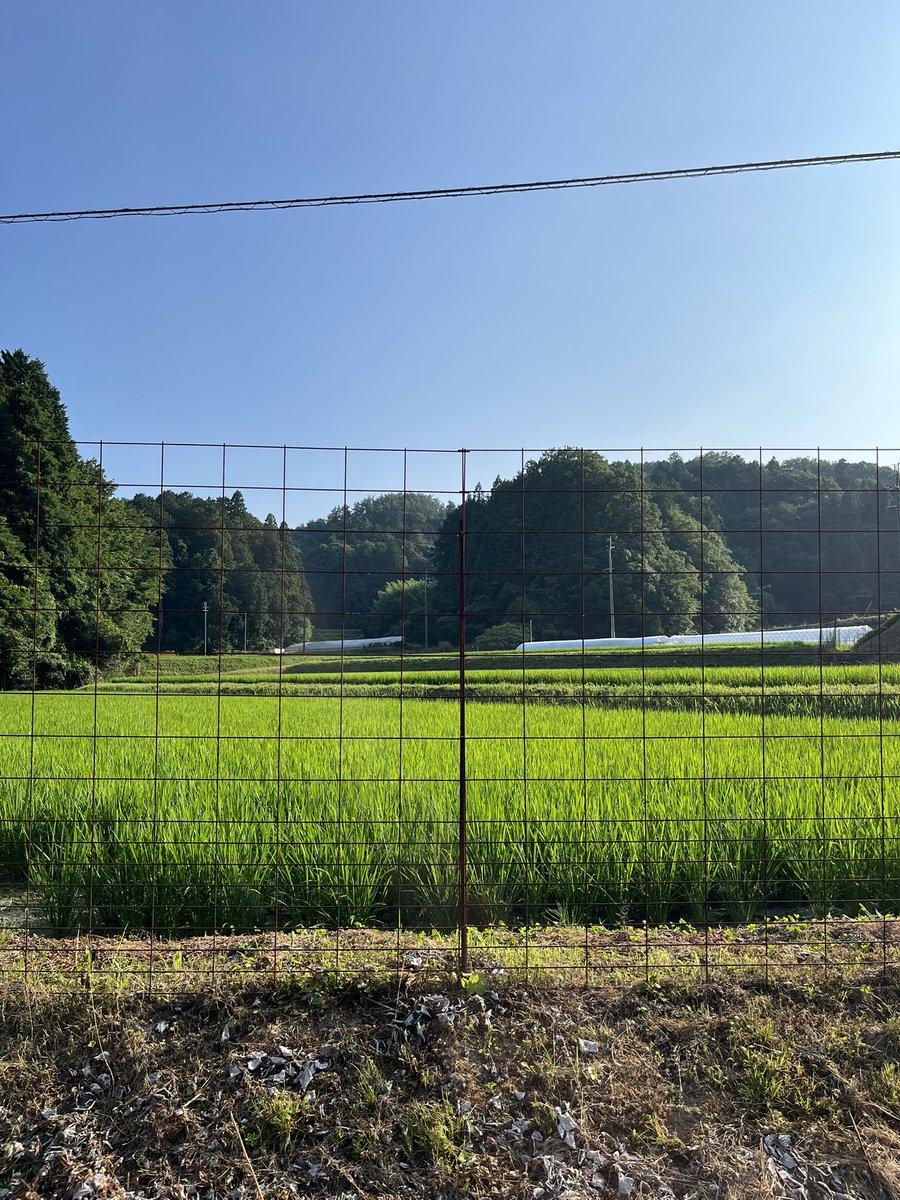 saatsukasa's tweet photo. 人生初��業！「ぜにはら夏まつり」
暖かい人々に囲まれた最高に素敵なお祭りでした！！
めちゃくちゃ楽しかったぜーーーっ！！！ https://t.co/qWY7E0DXKr
