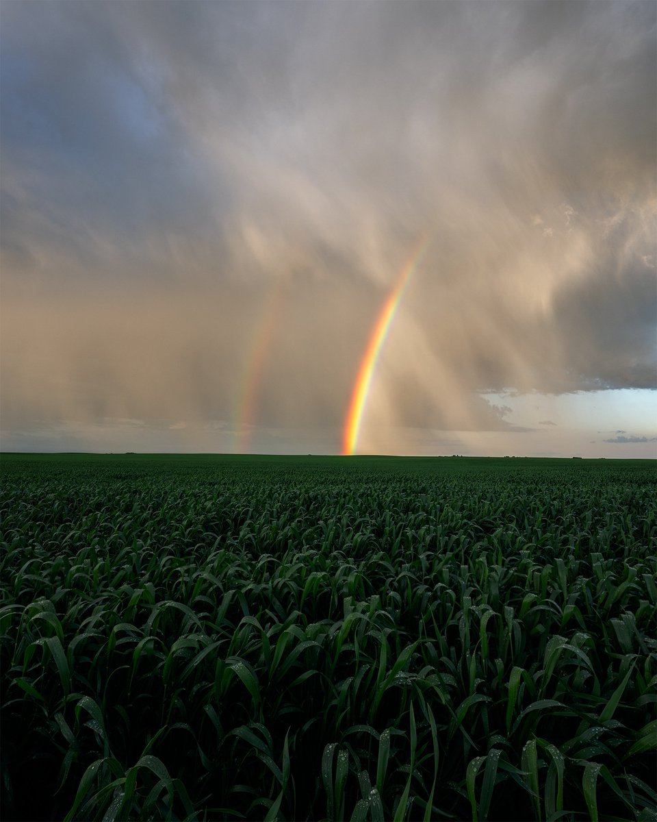 JamesAfineart's tweet photo. After the storm https://t.co/o9FJYLeKc9