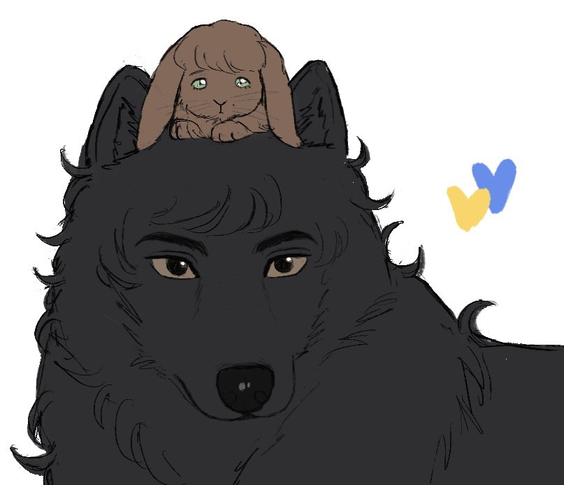 bplbpll__'s tweet photo. Bun and his wolf https://t.co/HNqCnMaLmn