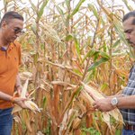 Photo by Ministry of Agriculture - Trinidad and Tobago (@maftt_)