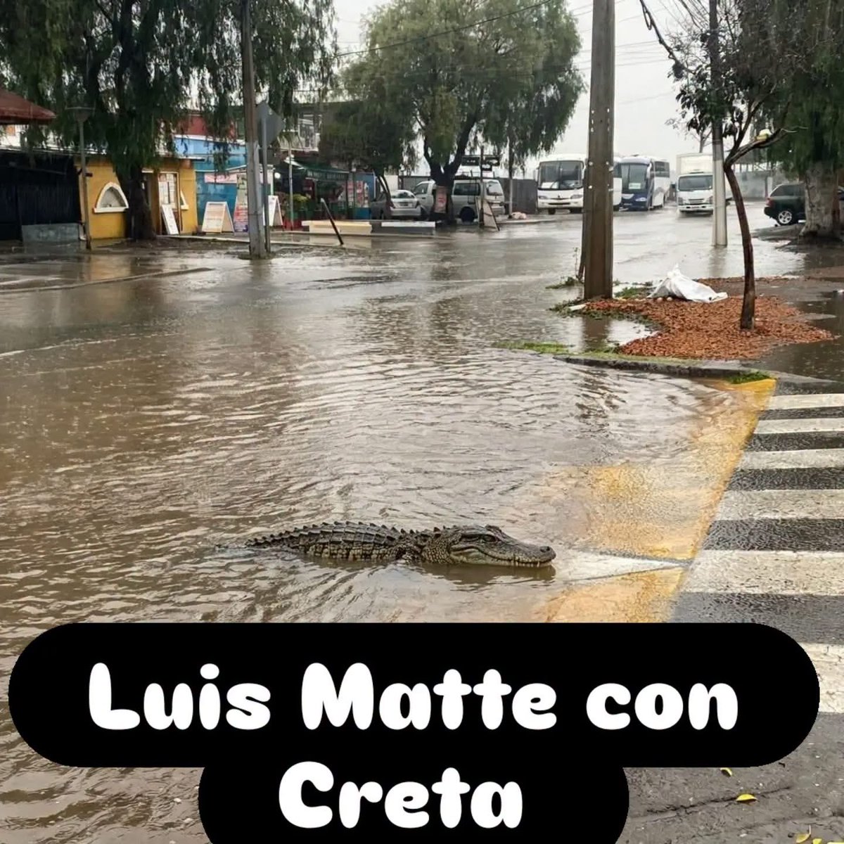 entrena11's tweet photo. #puentealto 😅😅 https://t.co/JiZqbiHVPQ