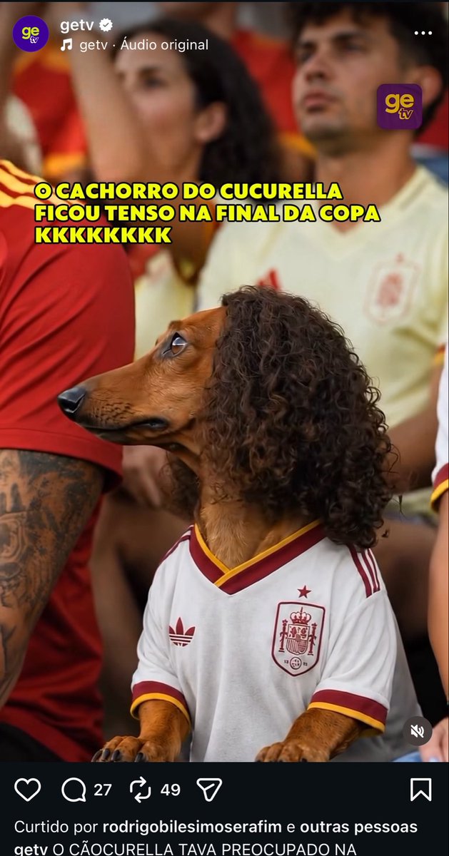 Rafael Falcão tweet media