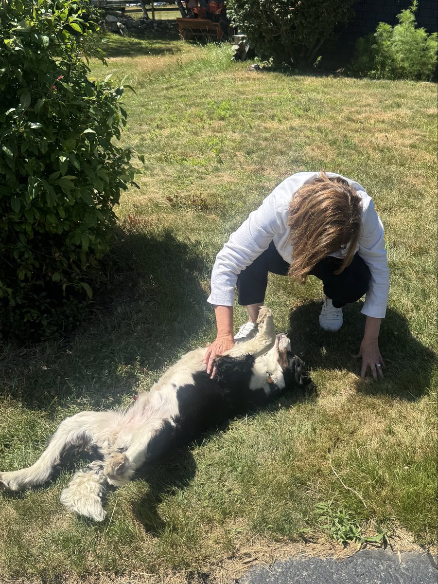 CindeWarmington's tweet photo. Had a fantastic time at Peaches &amp; Politics with the New Durham Dems!

Great conversations with great people, and the pups were an extra bonus. 🐶#NHPolitics https://t.co/hqw3QvtQ2s