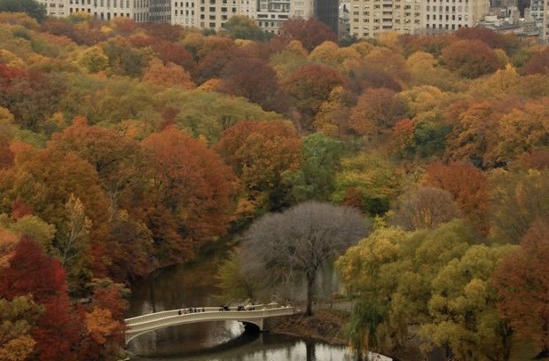 natureegloomy's tweet photo. Some people are born to love autumn https://t.co/RjYpxtn0sF