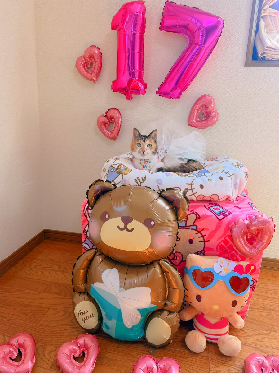 あめちゃん🐱 tweet media