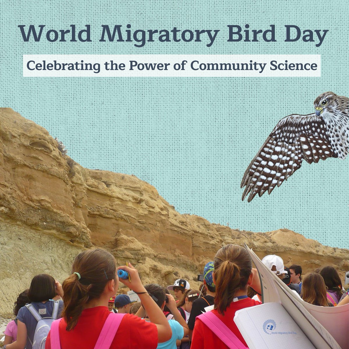 WMBD's tweet photo. Every bird observation counts! 🦅🦩🦆🦉

Millions of people contribute to migratory bird conservation through community and citizen science.

#WorldMigratoryBirdDay 2026 highlights how every observation helps! 

Learn more: https://t.co/g8ZgR8LlPc https://t.co/5q8ah71qf8