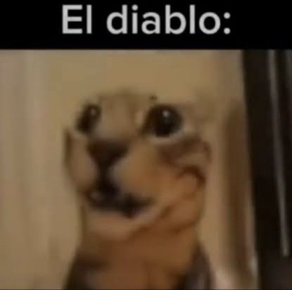EweRat033's tweet photo. @NocturnoAlado Te quedó brutal 👌 https://t.co/j6dqPxF2nB
