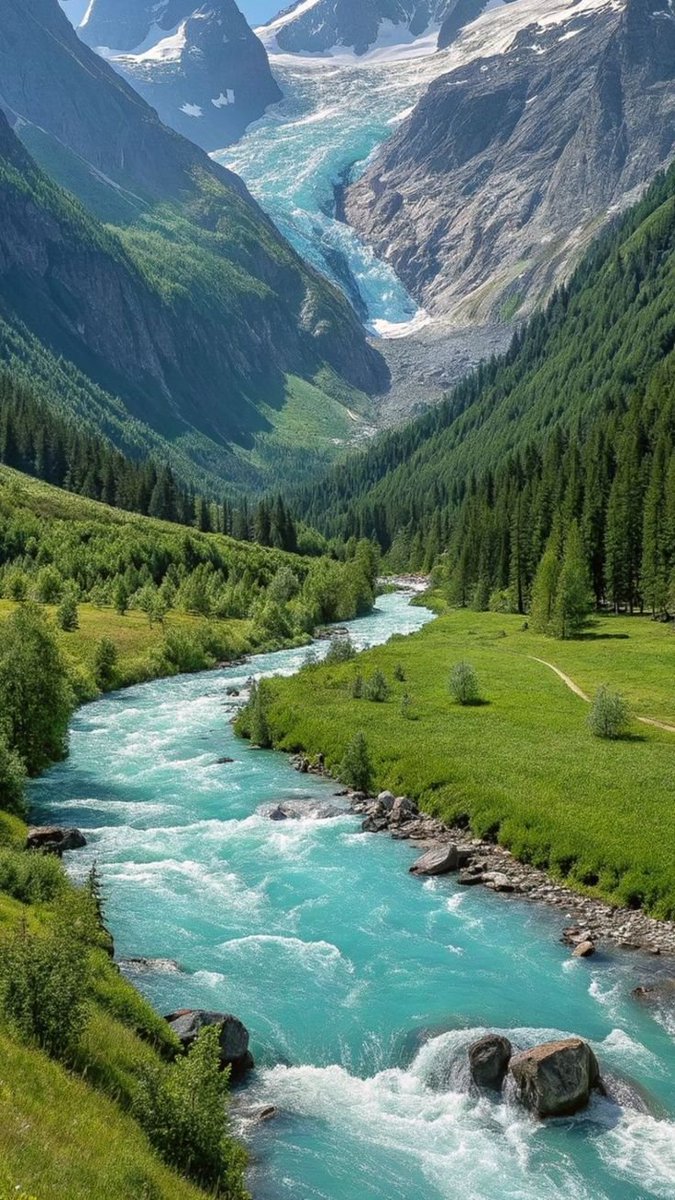 Charming Views tweet media