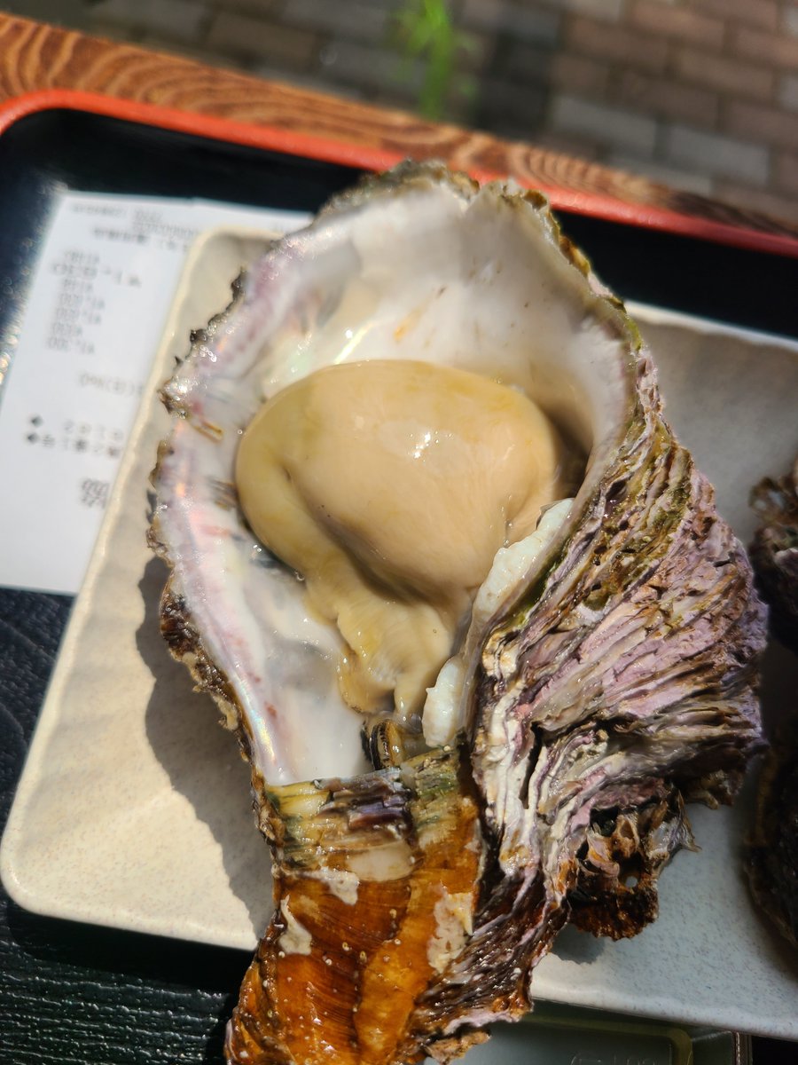 pingutsf tweet picture