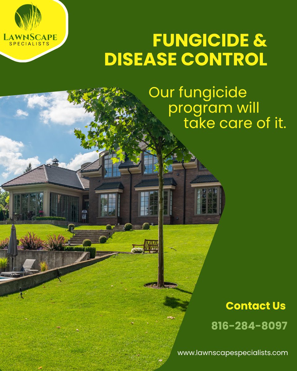 LawnscapeKC's tweet photo. Lawn diseases can spread quickly, turning healthy grass into patchy, weakened turf. Professional disease control treatments help protect turf health and preserve the appearance of your lawn.

Contact us at (816) 284-8097 to protect your lawn.

#LawnHealth #lawncare https://t.co/cjBo75SrQA