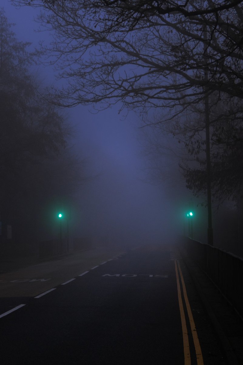 emilybakerphoto's tweet photo. In the break of dawn https://t.co/Wp29Iczlw1
