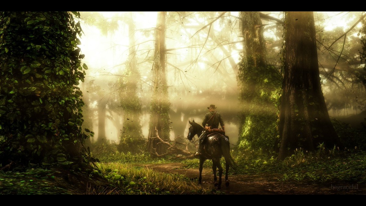 begraceful_'s tweet photo. Red Dead Redemption 2 https://t.co/dsjjLXy4RQ