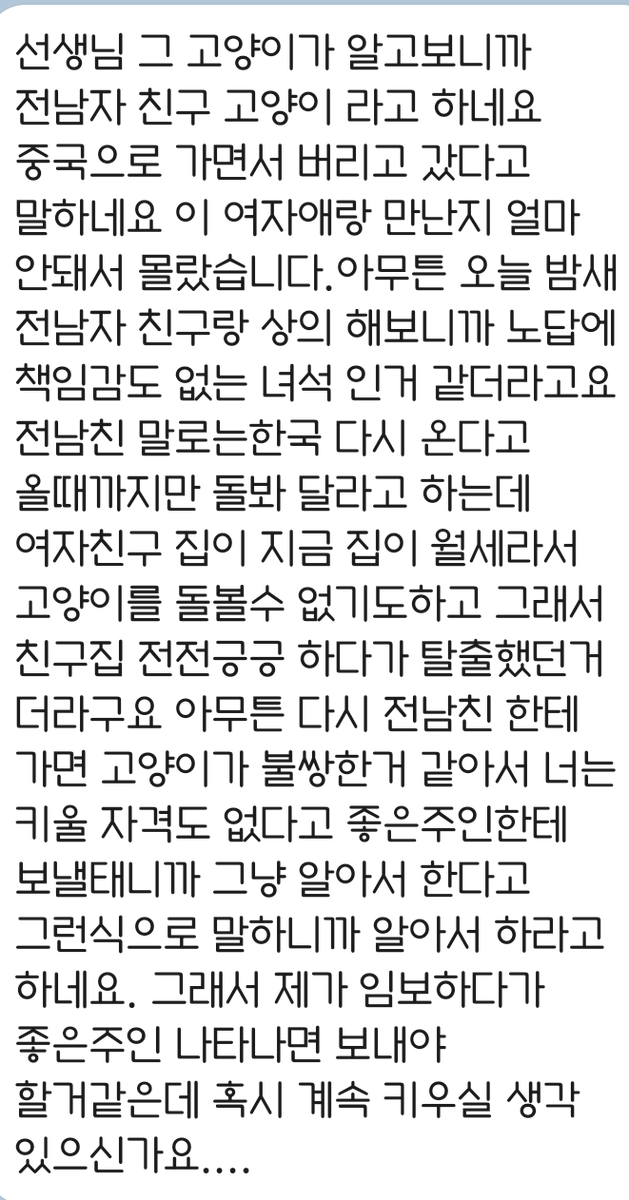 prettybat's tweet photo. 2021년 강아지 목걸이를 하고 우리집으로 쳐들어온 낄라씨. 당근에 고양이 주인 찾는 글을 올리고 연락이 와서 다음날 데리러 오기로 했었는데.. 이런 장문의 문자를 받은 후 우리집 막내가 됨. 지금은 잘먹고 잘 살고 있는 우리 낄라씨 입니다!!! https://t.co/yLS1jcwBYo