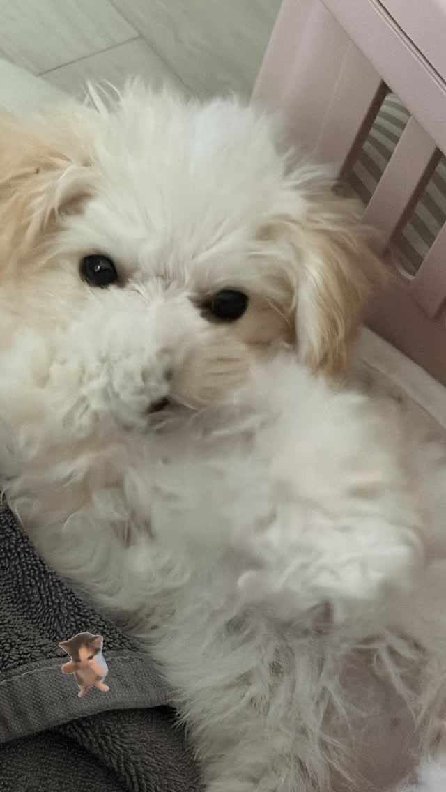 nano_winter's tweet photo. 260720 imwinter #윈터 인스타 스토리 업데이트 https://t.co/quQS1QdeIw