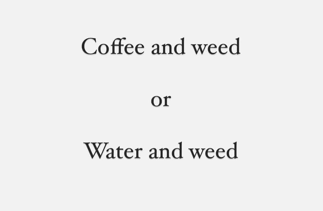 weedcoin tweet media