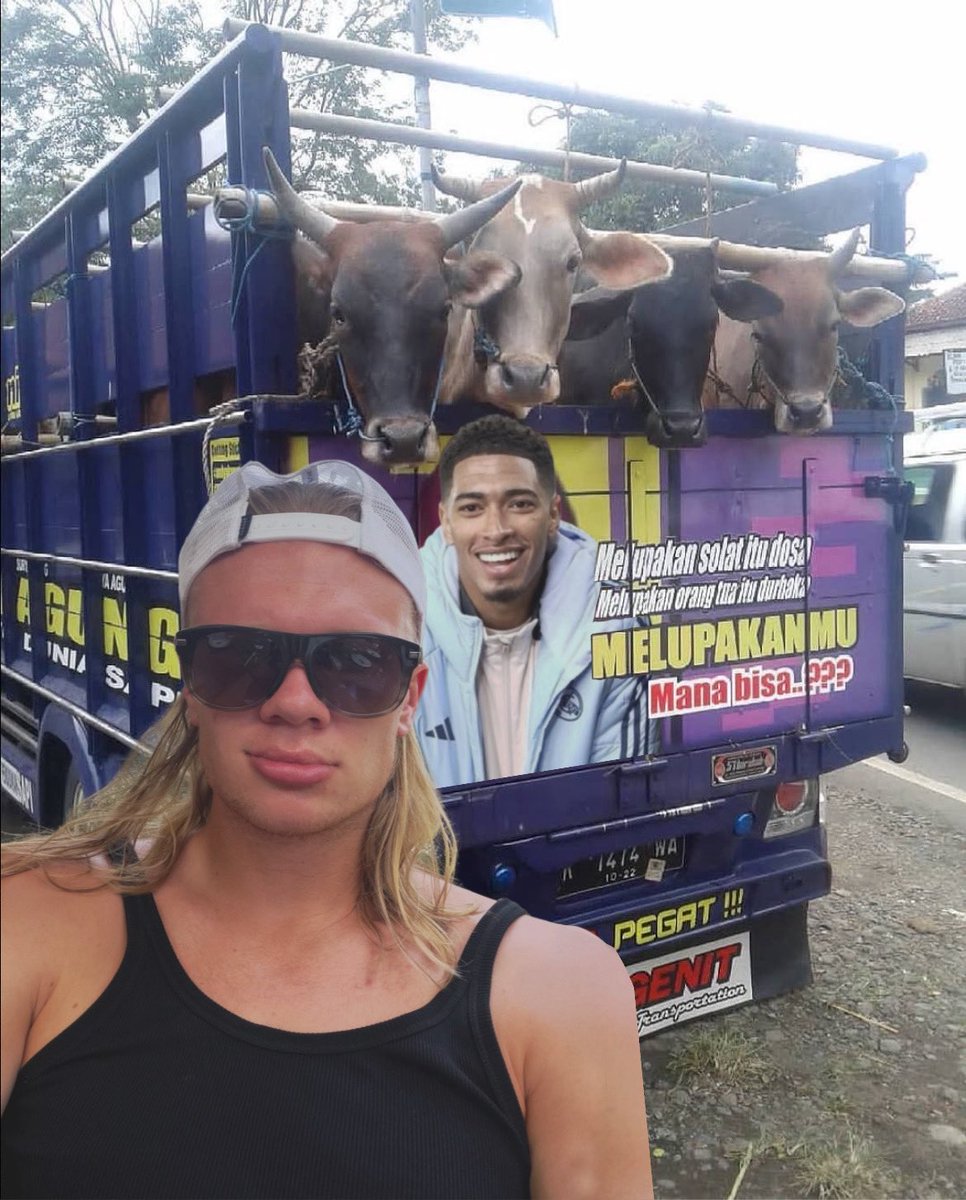 pawniees's tweet photo. haalingham one tweet

inilah supir truk kebanggaan kita semua https://t.co/NEKl58P68M