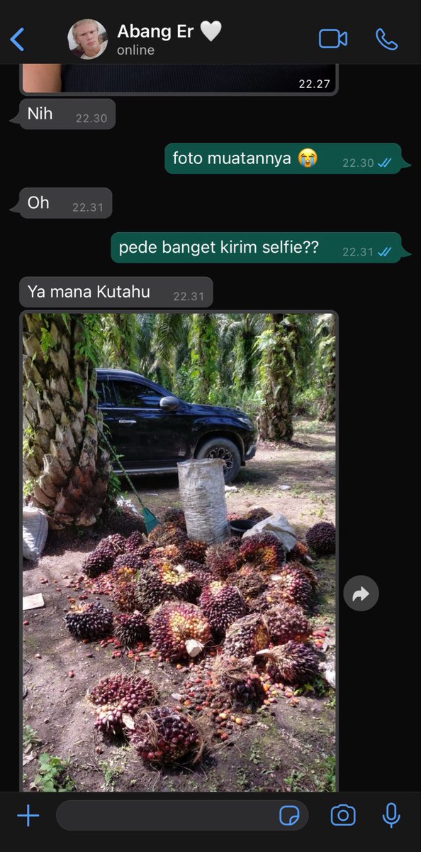 pawniees's tweet photo. haalingham one tweet

inilah supir truk kebanggaan kita semua https://t.co/NEKl58P68M