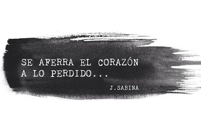 Image from Sabina24/7 (@Vloretto)