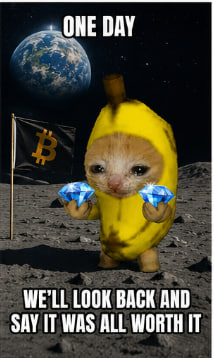 BigHeffe_'s tweet photo. Banana Cat 🍌🐈 Will forever be OG DANK Meme Collection

Buy The Dip &amp; HODL https://t.co/iWI97aoumV