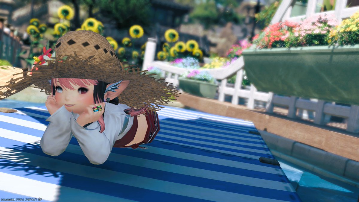 elihasu_ya's tweet photo. #アニマ並木道　にお邪魔しました！
かわいい向日葵がたくさん！ https://t.co/CK7WZ5TXoW