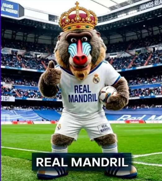 aldofx1969's tweet photo. @SEFutbol no veo a ningun jugador del @realmadrid  y por eso son campeones del mundo https://t.co/OyYYwdzCWG