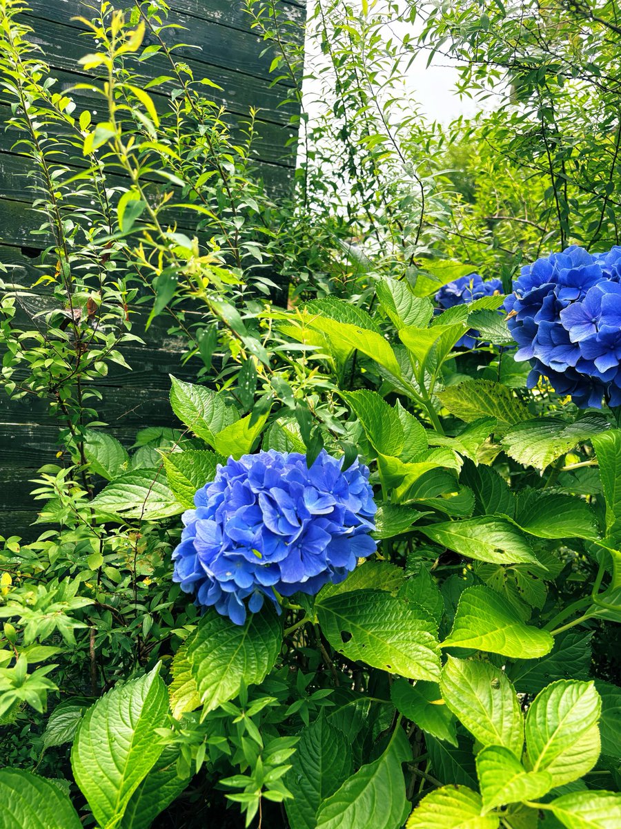 kakept15's tweet photo. みちのく Jul. 2026 https://t.co/t6xONSrHgi
