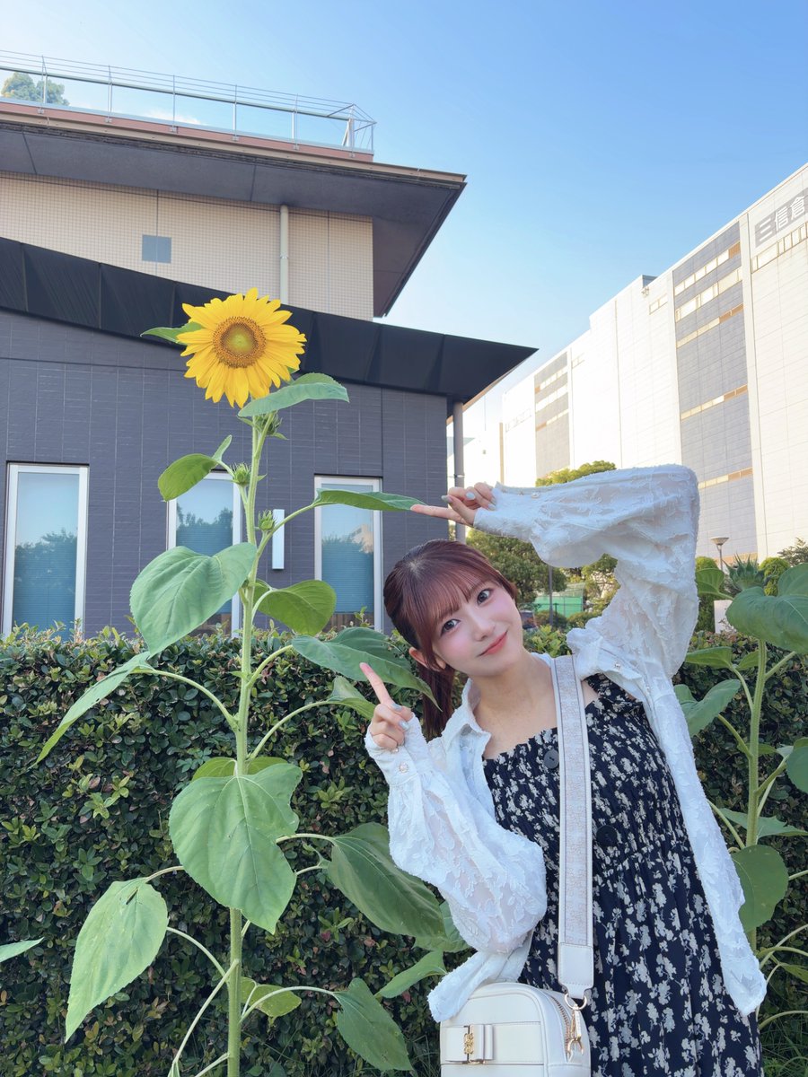hinaho_0303's tweet photo. おはよ！海を見に行ったらすくすく育ったひまわりをみつけたよ🌻
今日もファイト！ https://t.co/K9Pp5FSuzP