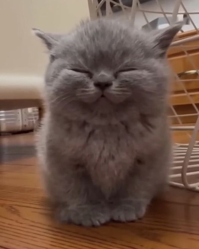 𝐛𝐞𝐫𝐫𝐲-RJ 同谋者的默契 tweet media