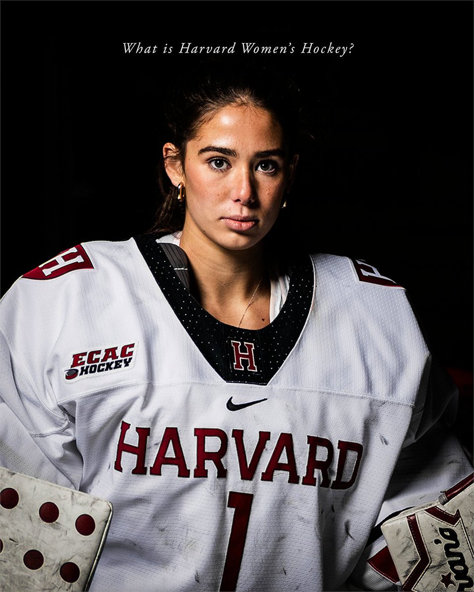 Harvard Women's Hockey tweet media