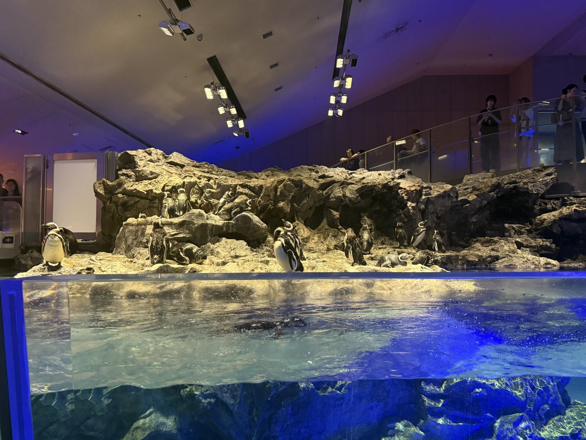 Rei1_V's tweet photo. 水族館🐟🐠🐡🦭 https://t.co/7AfQzXKt2N