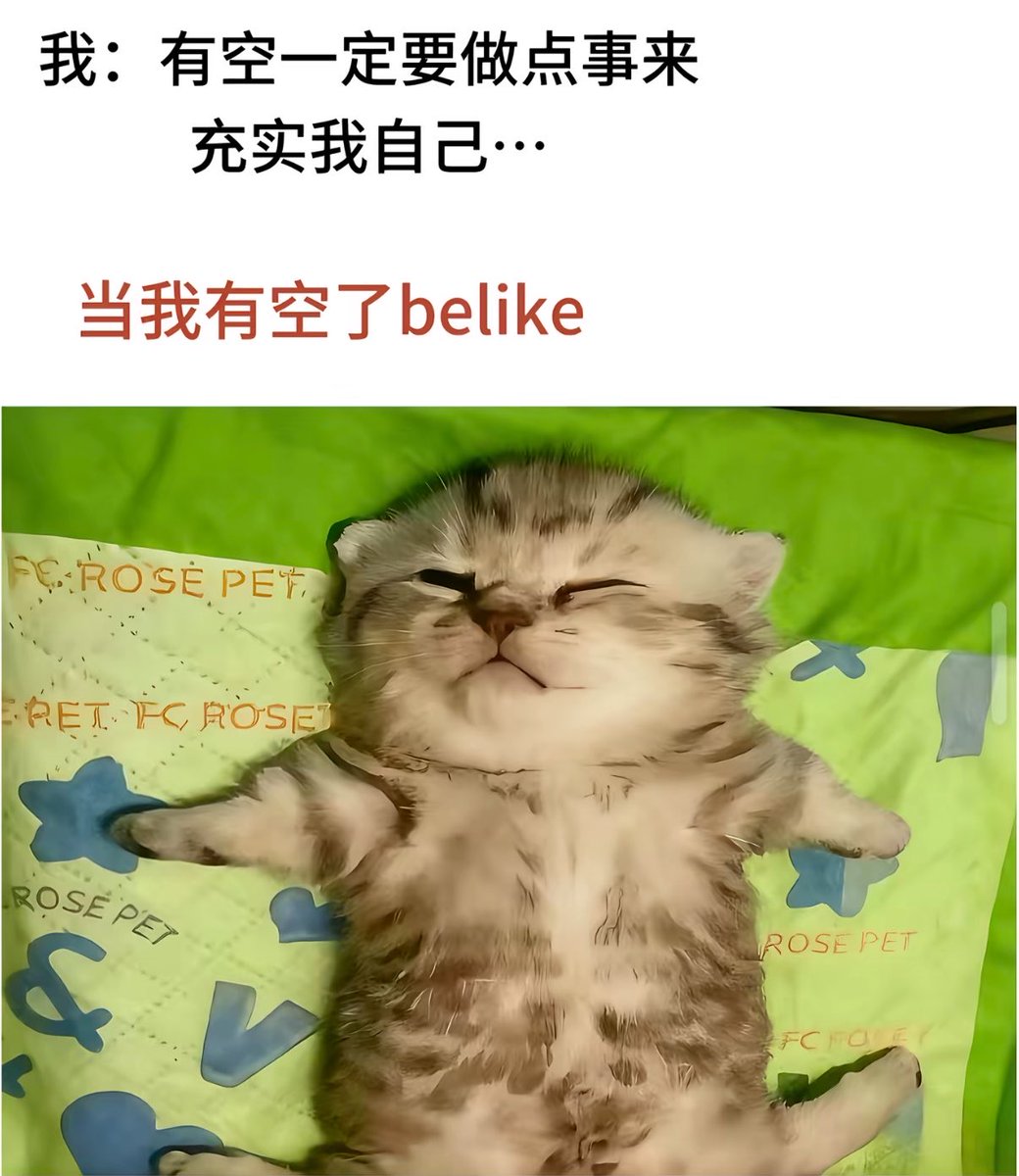 Ligr9l's tweet photo. https://t.co/gMLaGrWYat