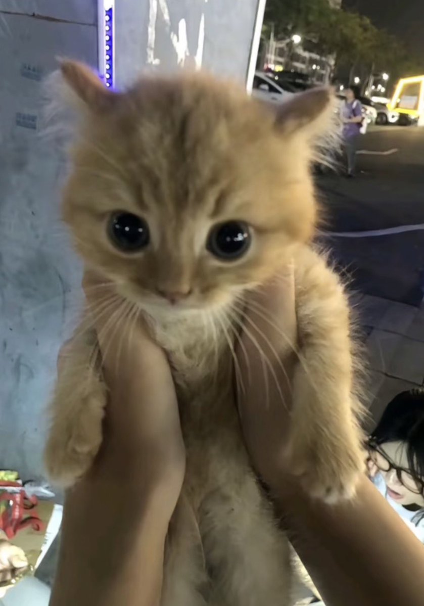 twaniimals's tweet photo. https://t.co/fY3FeWFNS0